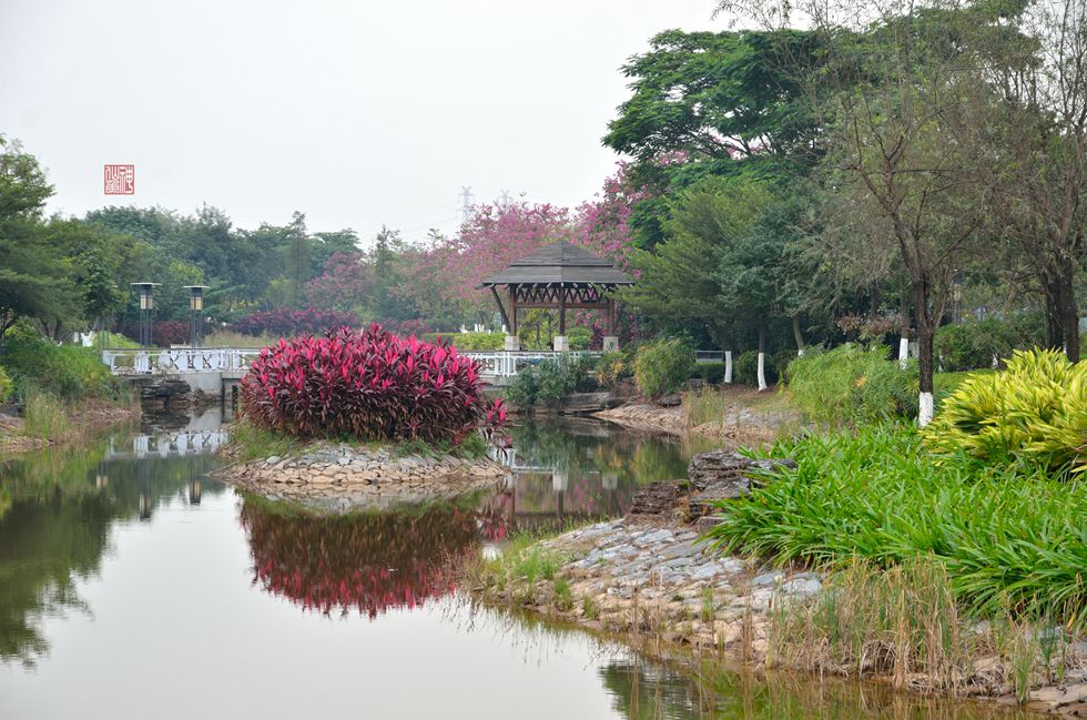 都市之肾湿地大学城生物岛水墨园二