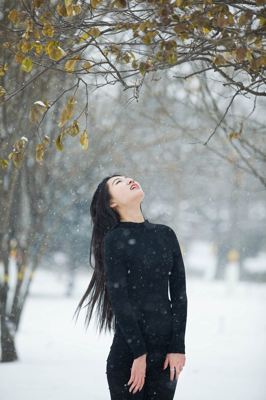 飘雪