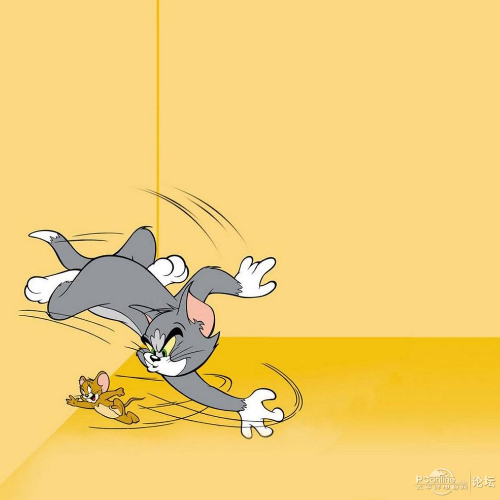 猫和老鼠壁纸
