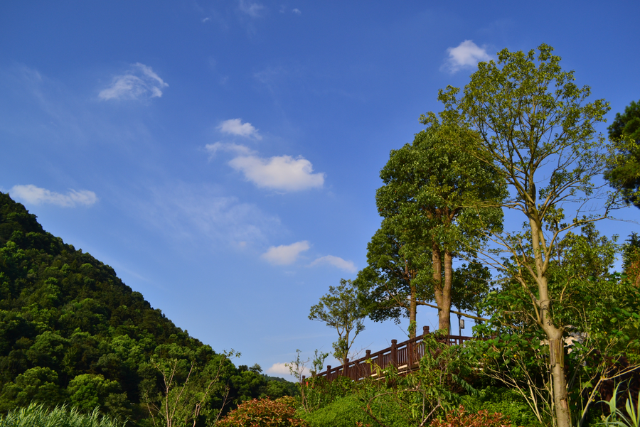 桃花岭公园