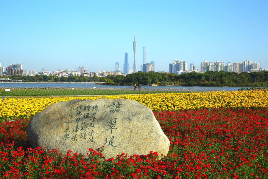 【广州海珠湖公园美景迎新春摄影图片】风光旅