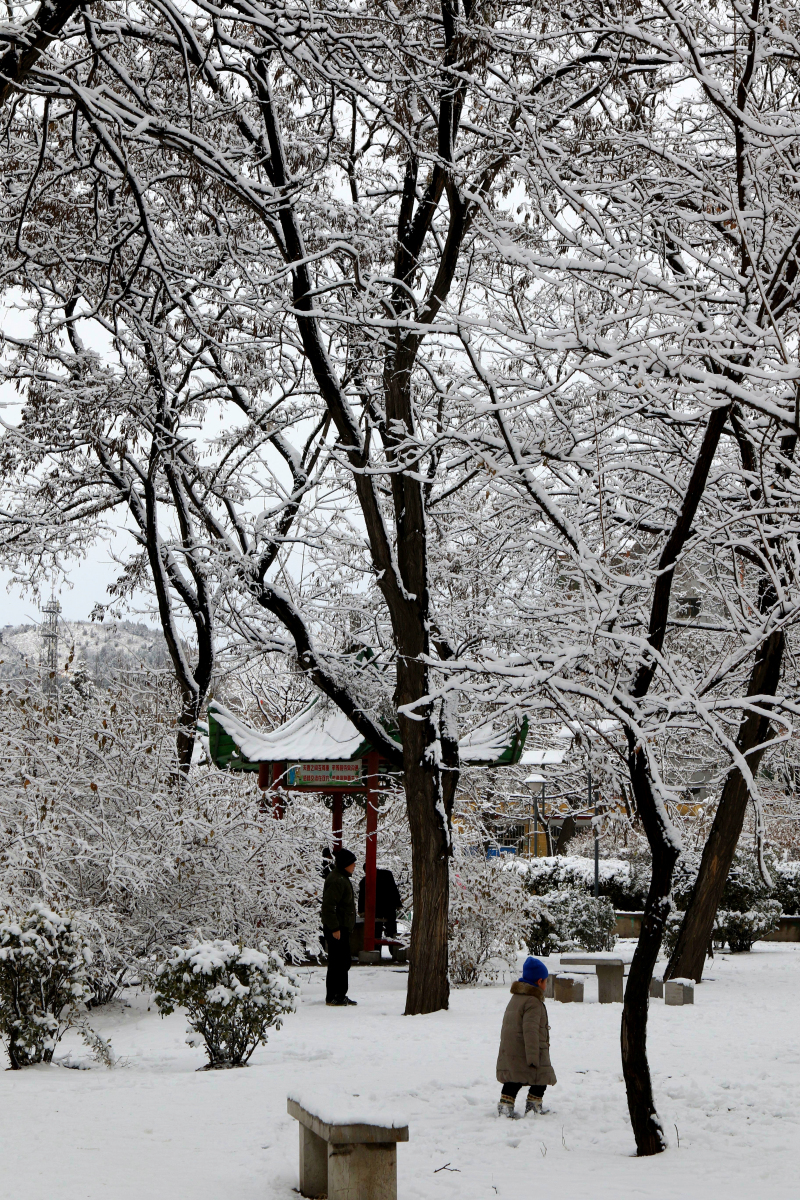 正月初六---雪景美如画 (共 10 p)