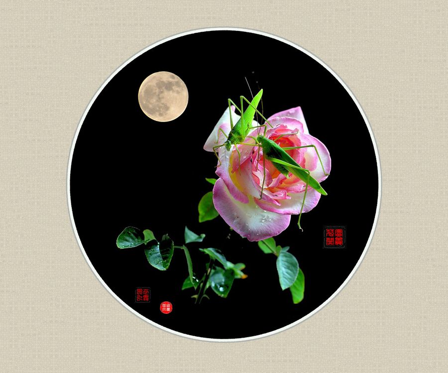 花好月圆