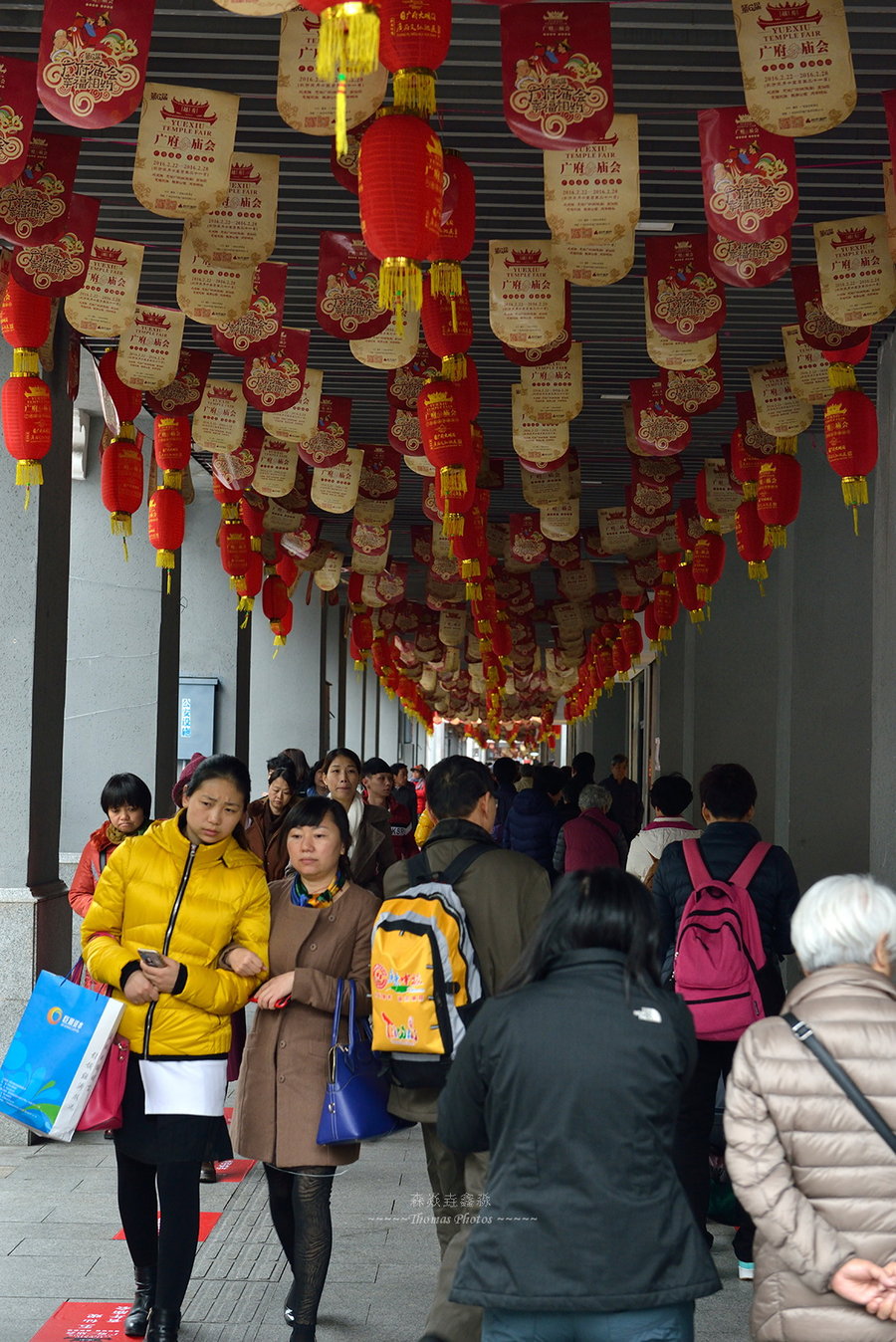 2016广府庙会 (共p)