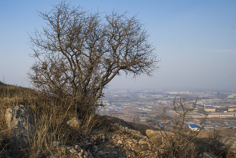 山上的风景