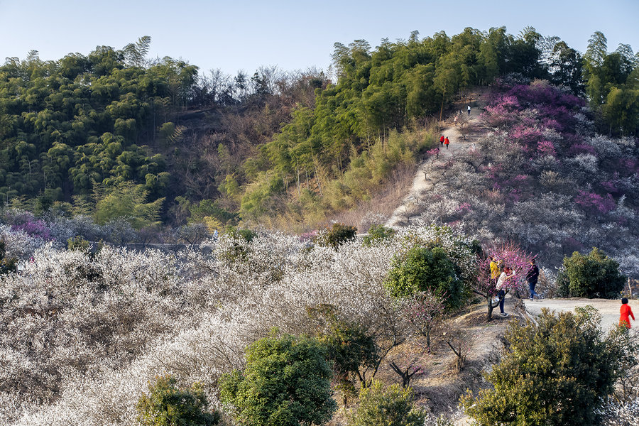 安吉杭垓梅花沟风光(2)