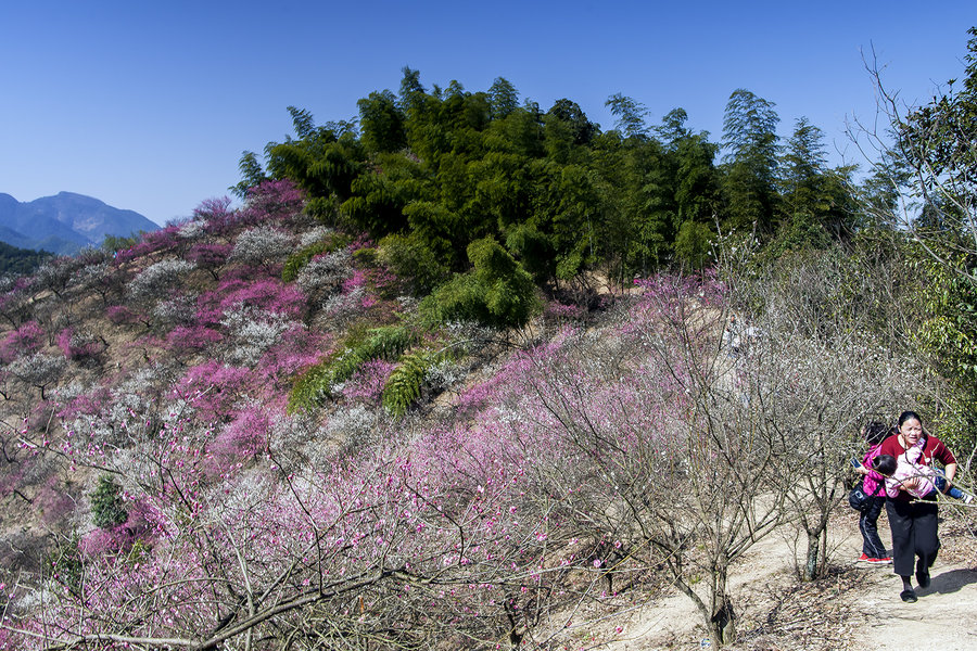 安吉杭垓梅花沟风光(2)