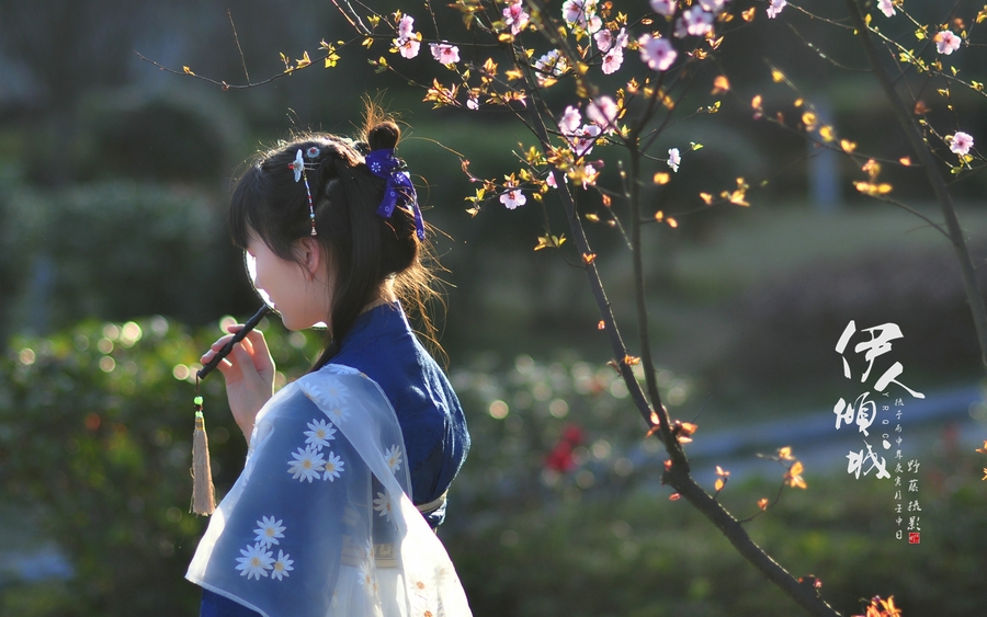 伊人回首醉倾城