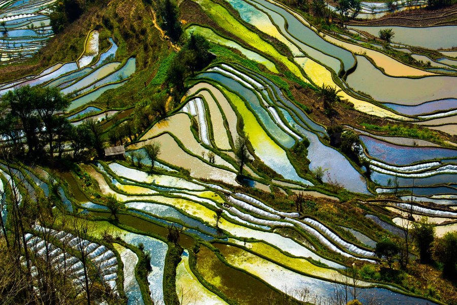 【元阳梯田摄影图片】风光旅游摄影_太平洋电脑网摄影部落