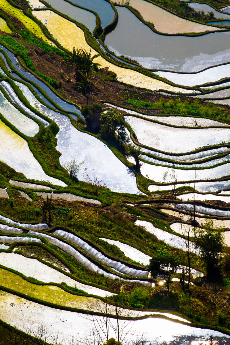 元阳梯田_佳能650D论坛_太平洋电脑网产品论