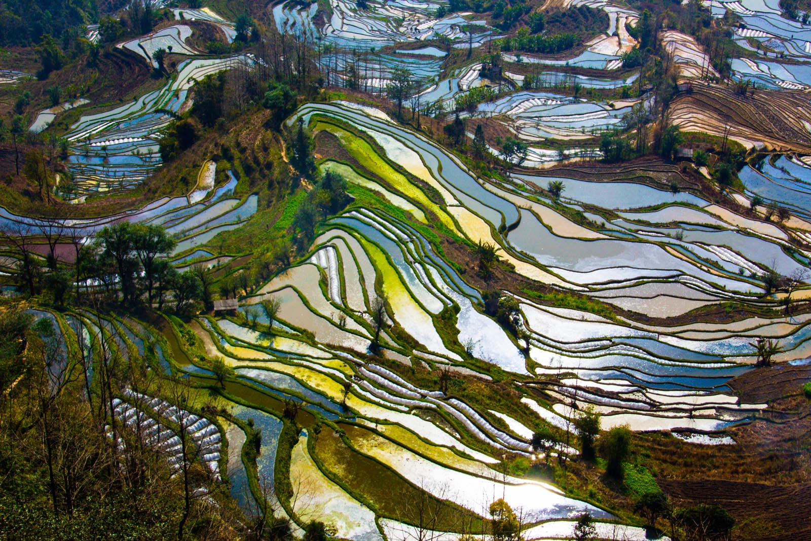 元阳梯田