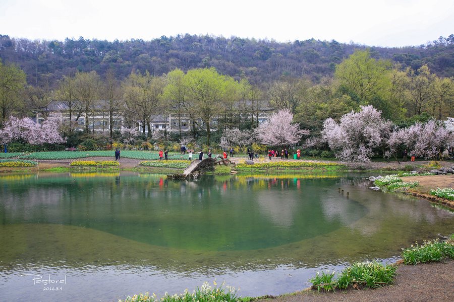 早春太子湾