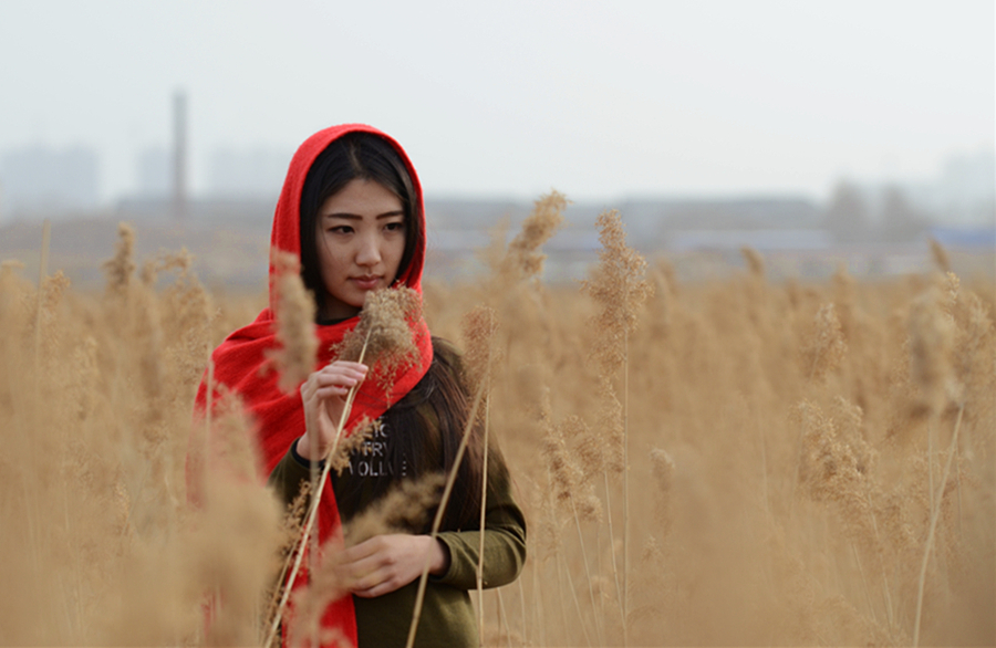 情系芦苇荡---人像习作