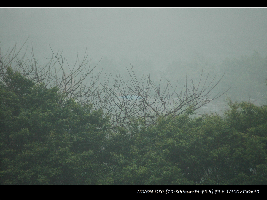 雾雨蒙蒙