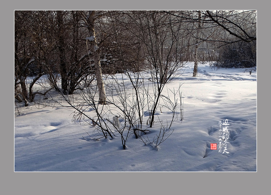 【边城的冬天】(2)——身边的雪景