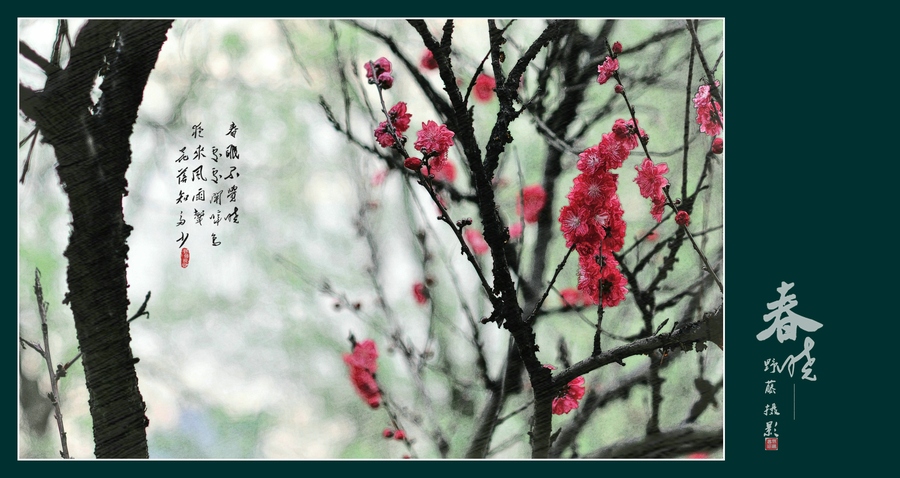 春晓