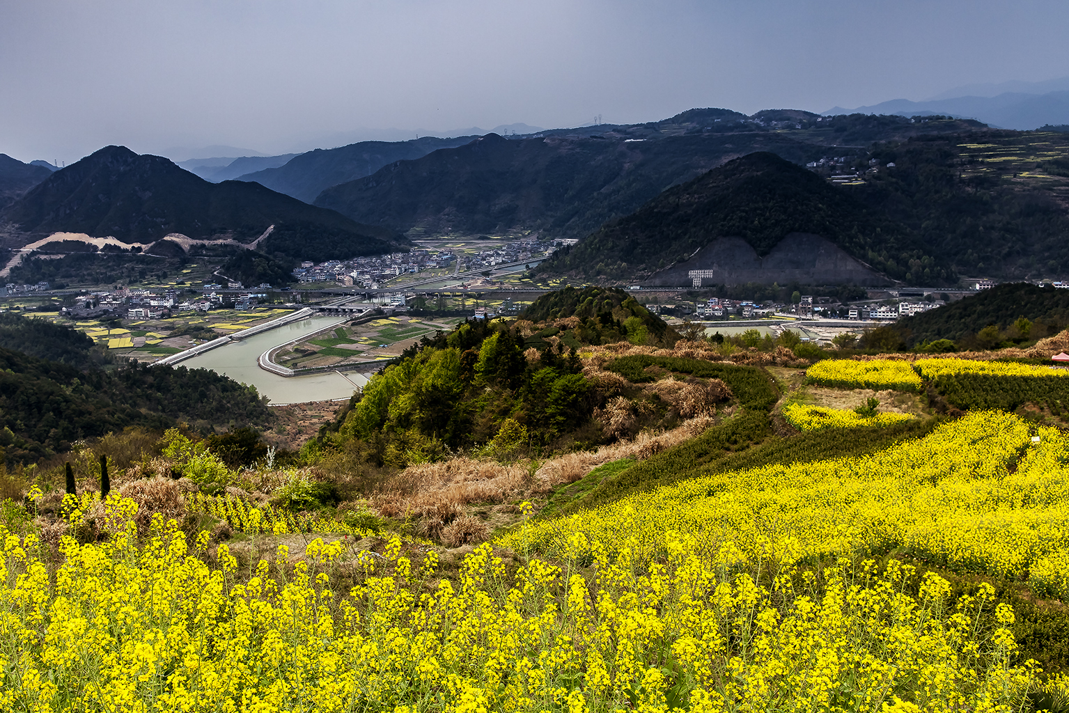 远山黛色菜花黄