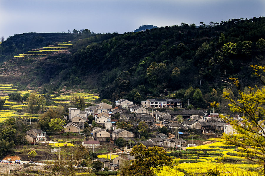 远山黛色菜花黄