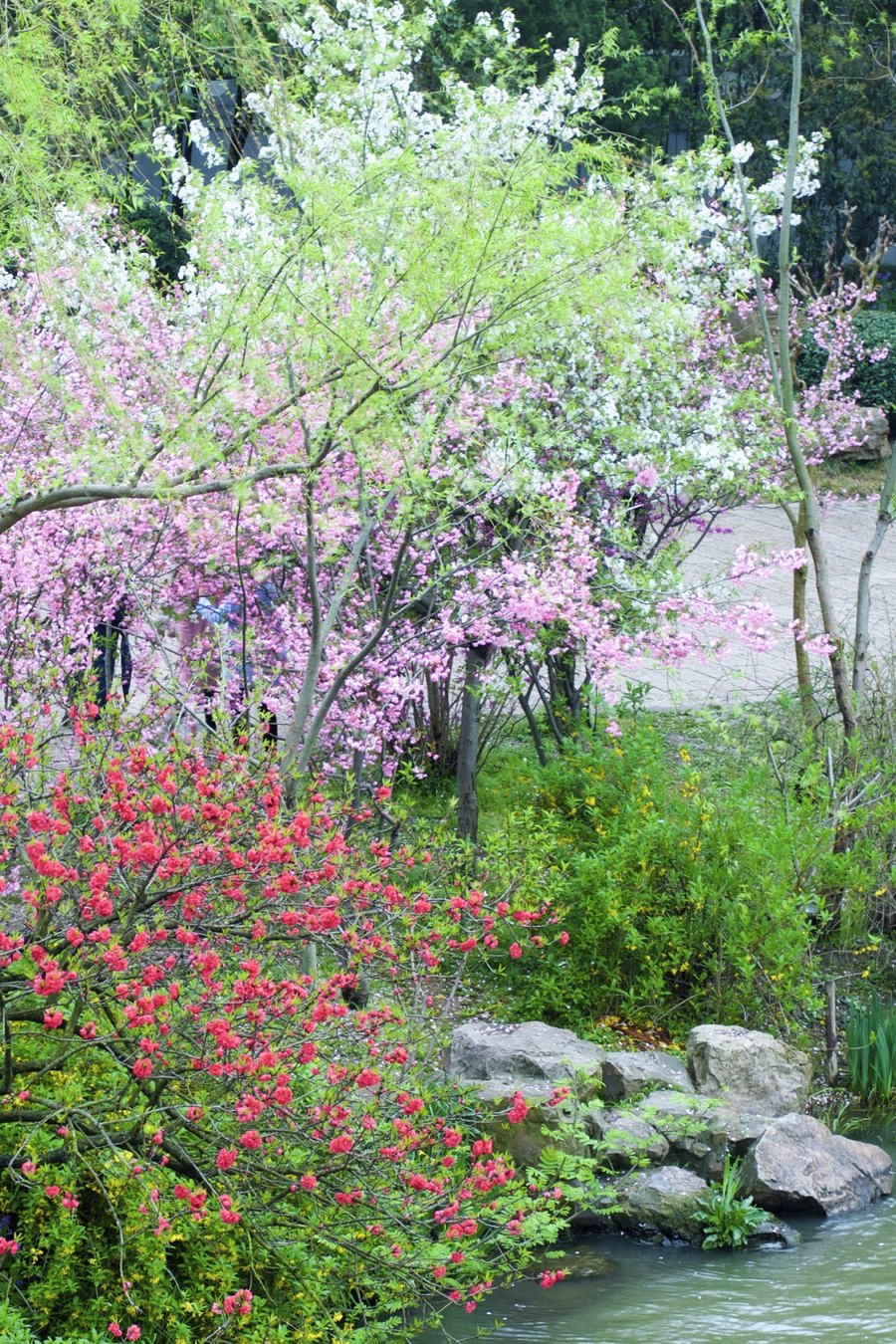 烟雨蒙蒙下扬州