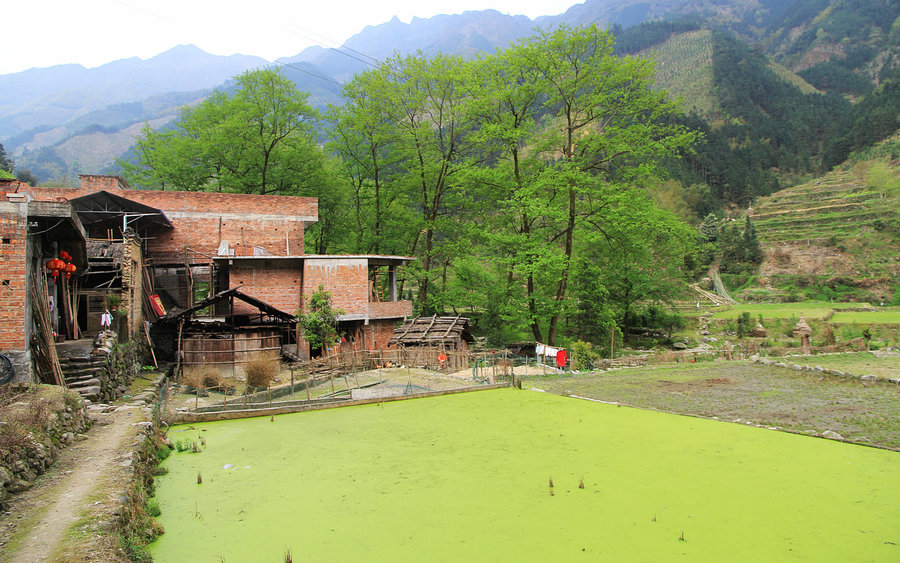 桂北小山村