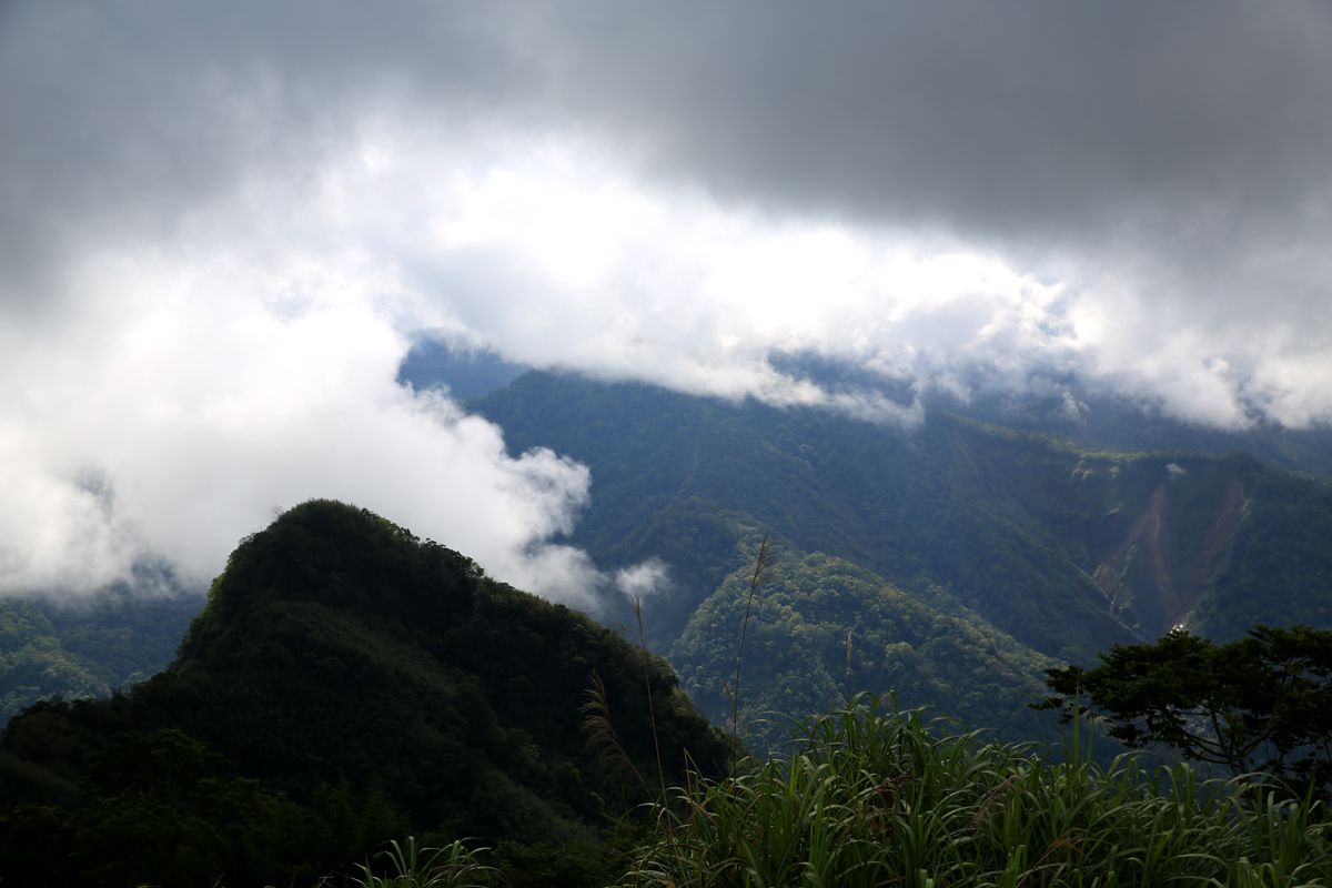 台湾阿里山风光