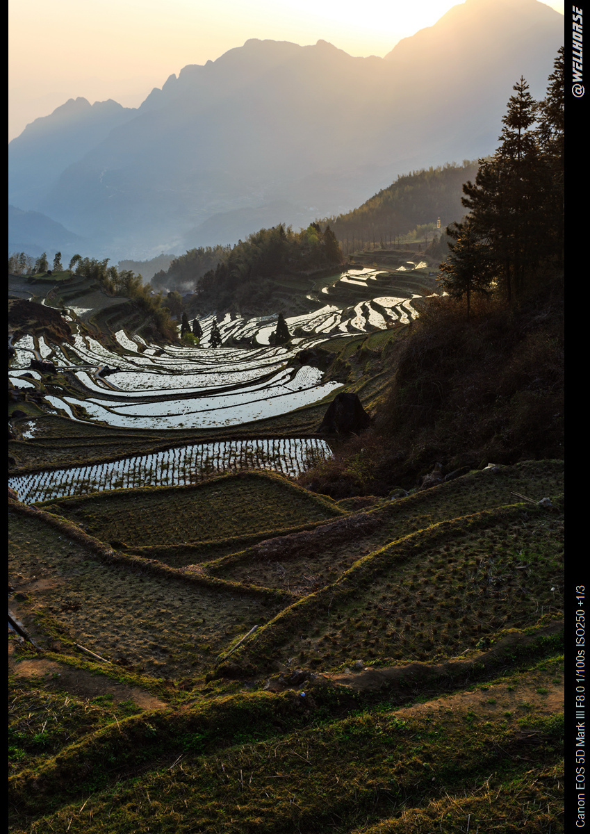 云和梯田