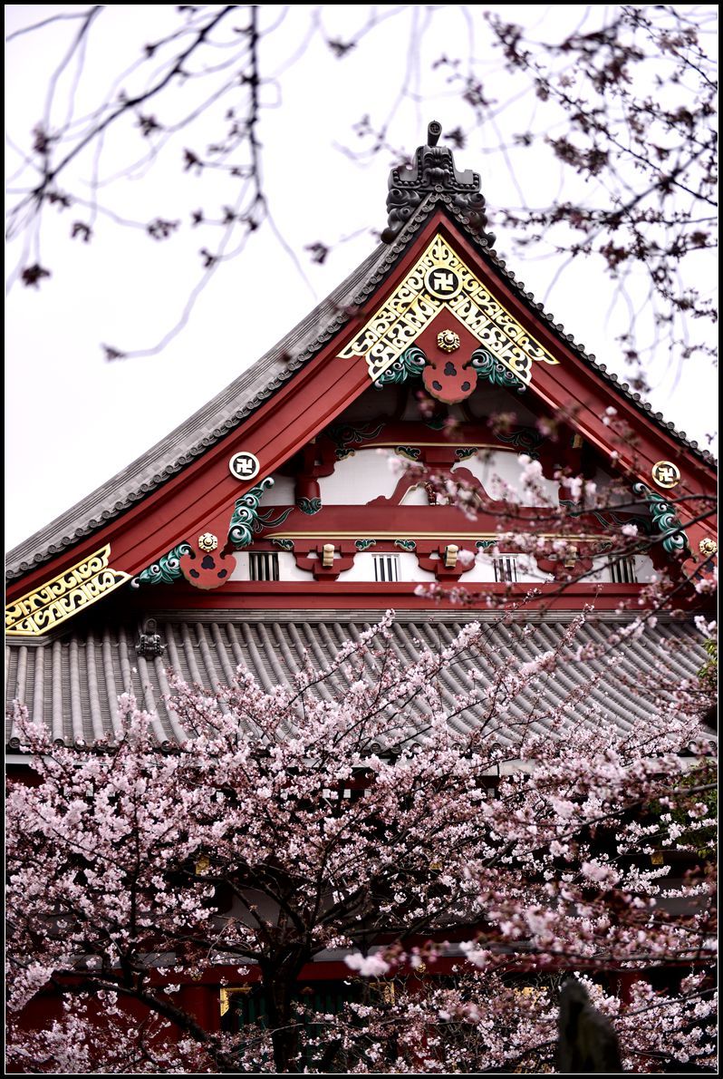 东京浅草神社