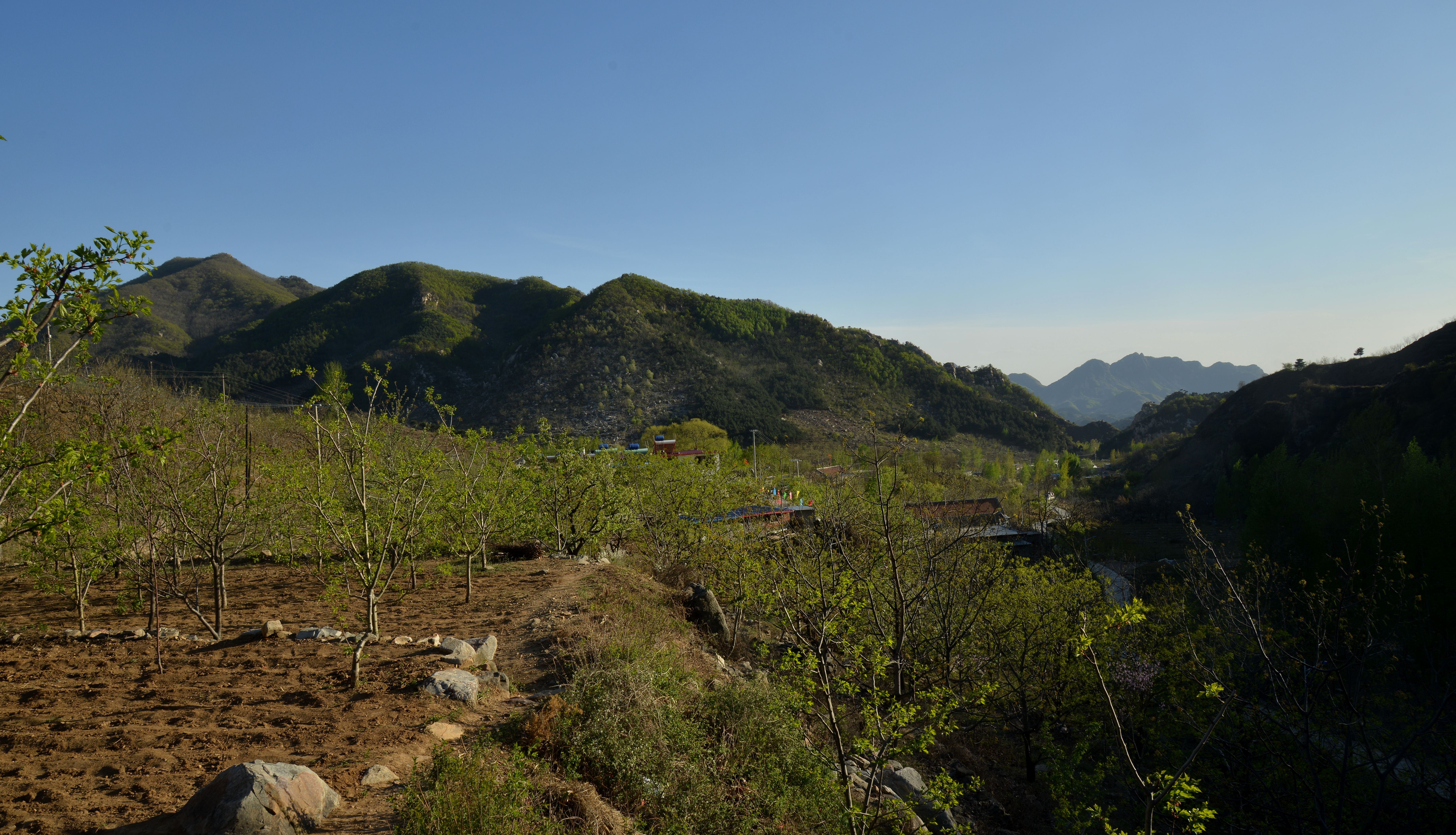 花市——大山深处的村庄