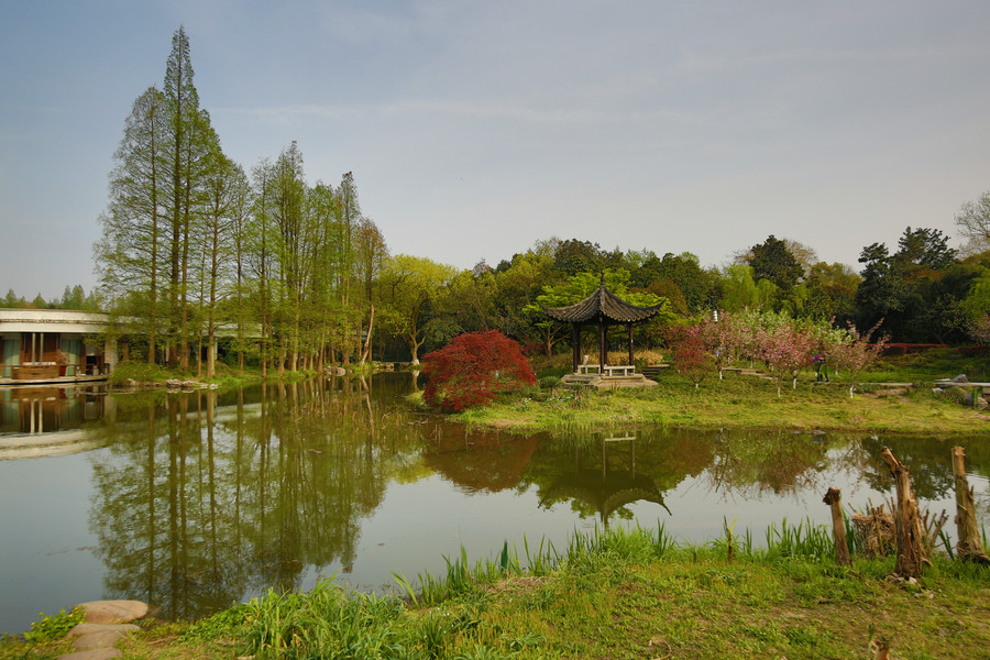 杭州花圃