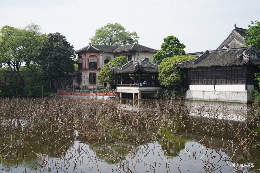 春到小莲庄