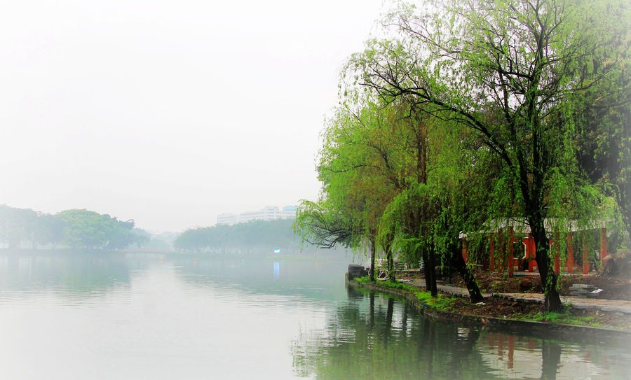 情深深,雨蒙蒙