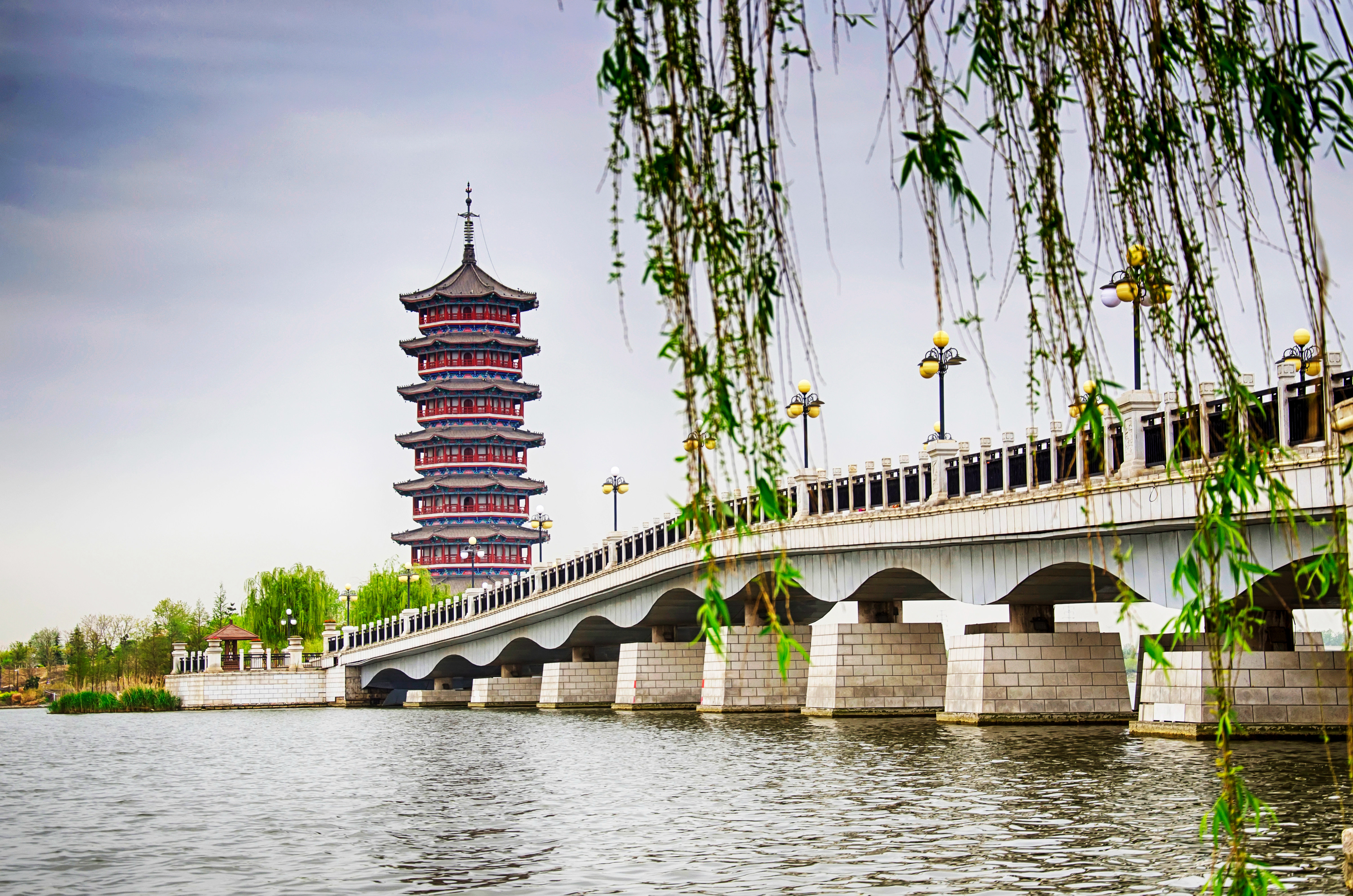 胶州湾少海湿地