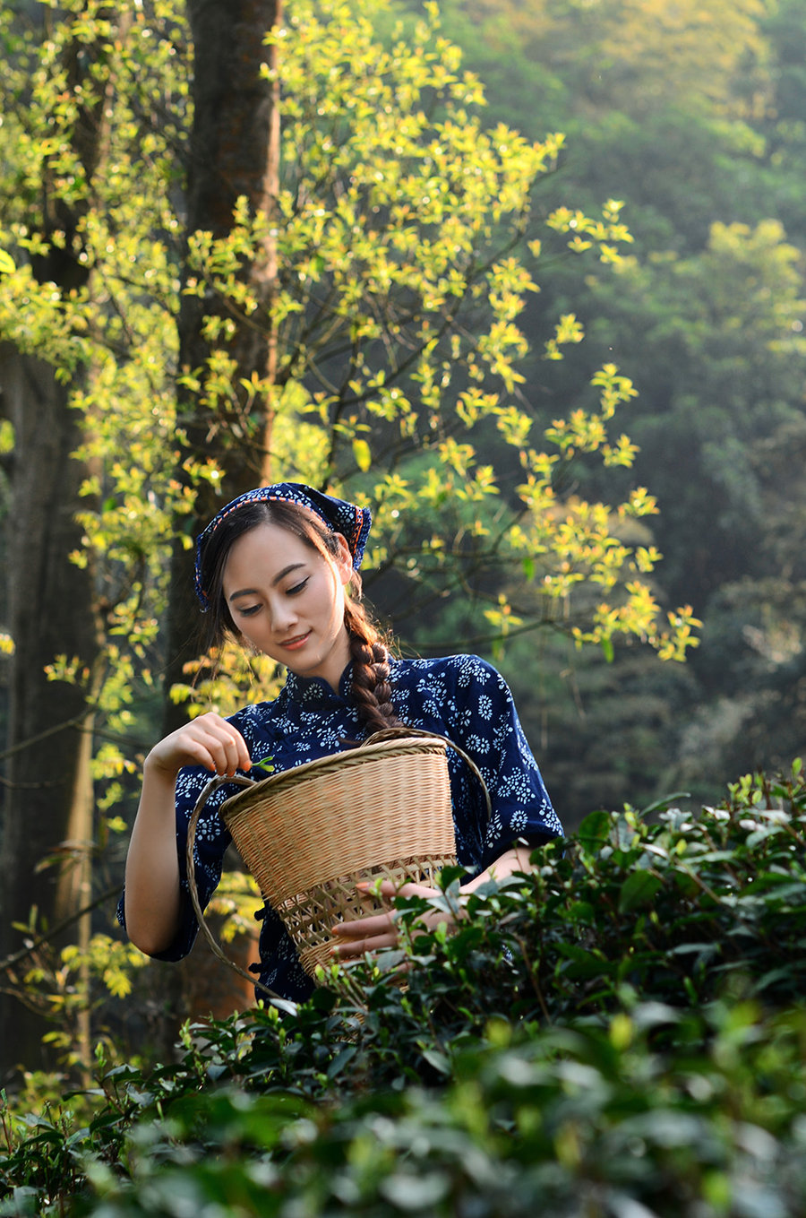 【茶山姑娘 梅家坞摄影图片】杭州梅家坞人像摄影_太平洋电脑网摄影部落