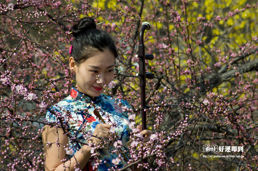 蹭拍杏花人像