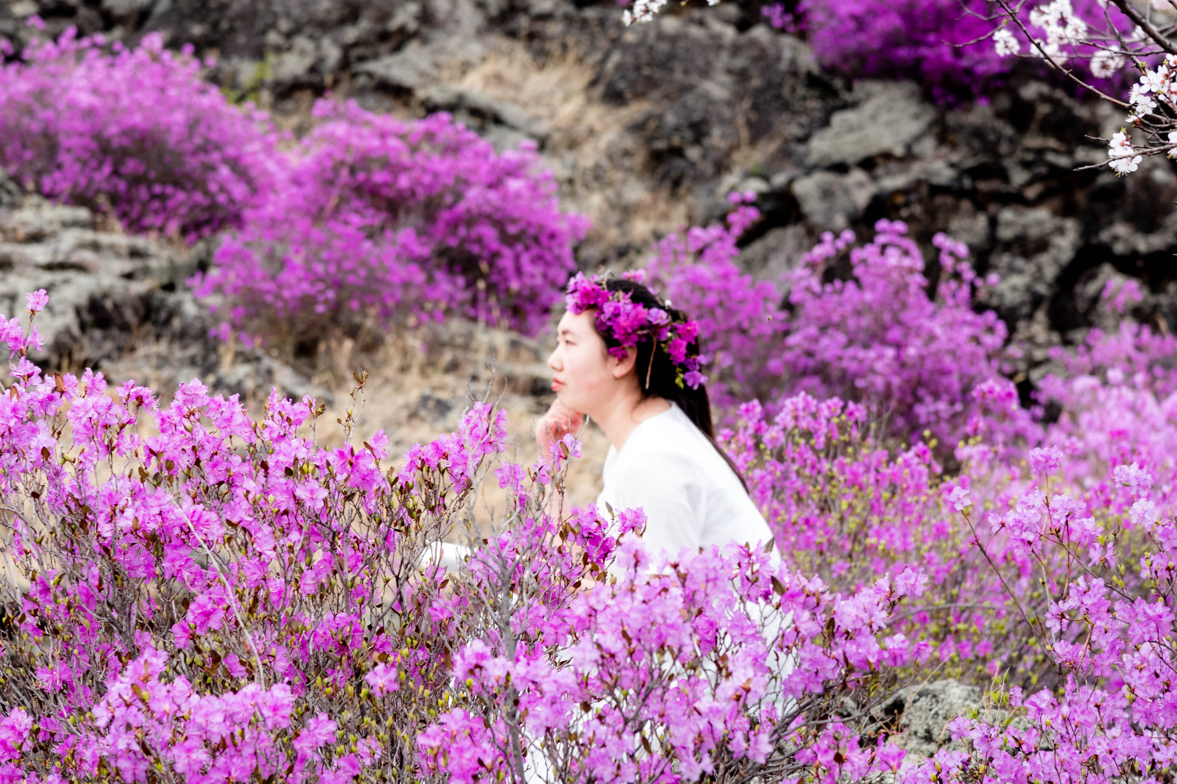 杜鹃花与美女