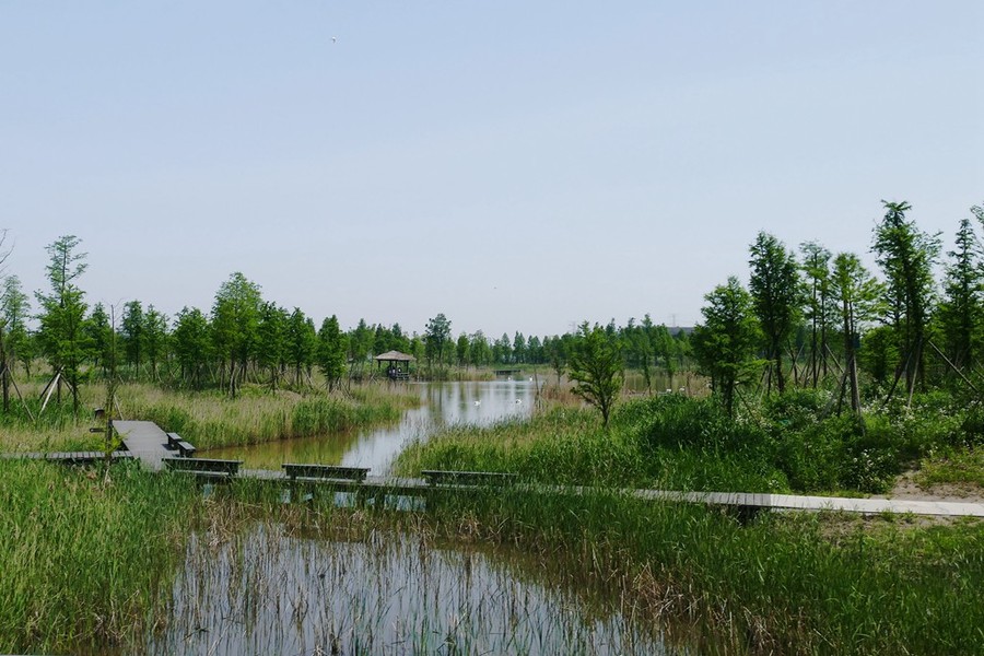 杭州湾湿地公园 (共p)
