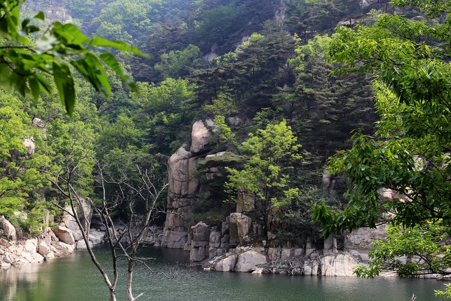 新泰莲花山