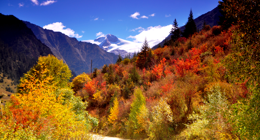 【一个无水、无电、无信号、无住宿只能越野自