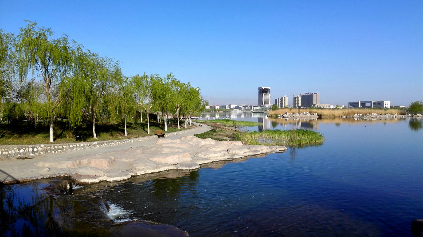 金昌金水湖公园(手机拍)