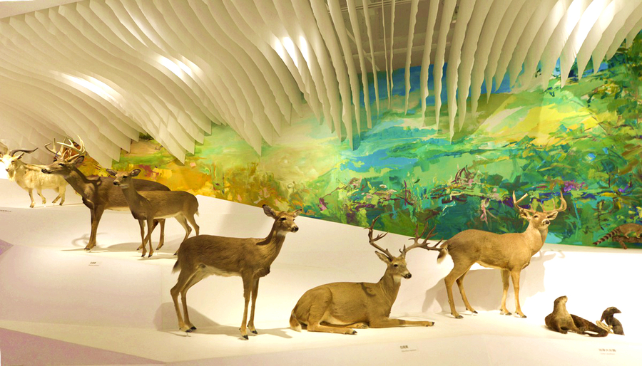 【重庆自然博物馆---动物厅摄影图片】纪实摄影_太平洋电脑网摄影部落