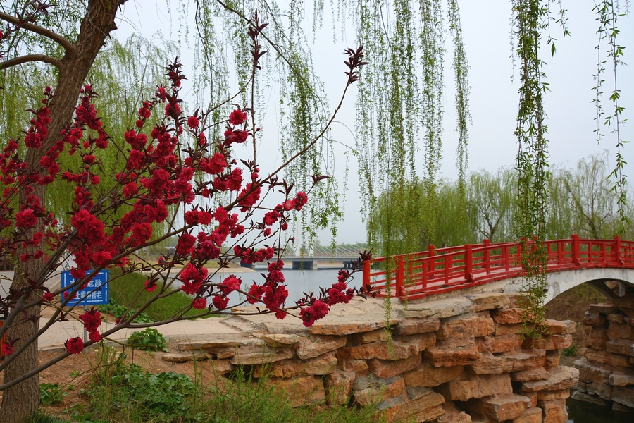 花开朵朵鲜艳艳,景色迷人初春天