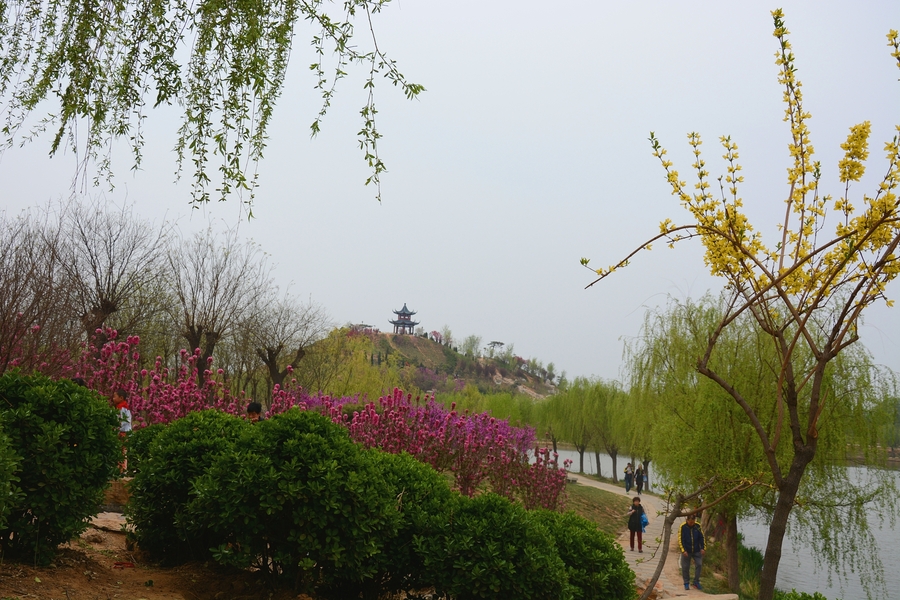 花开朵朵鲜艳艳景色迷人初春天