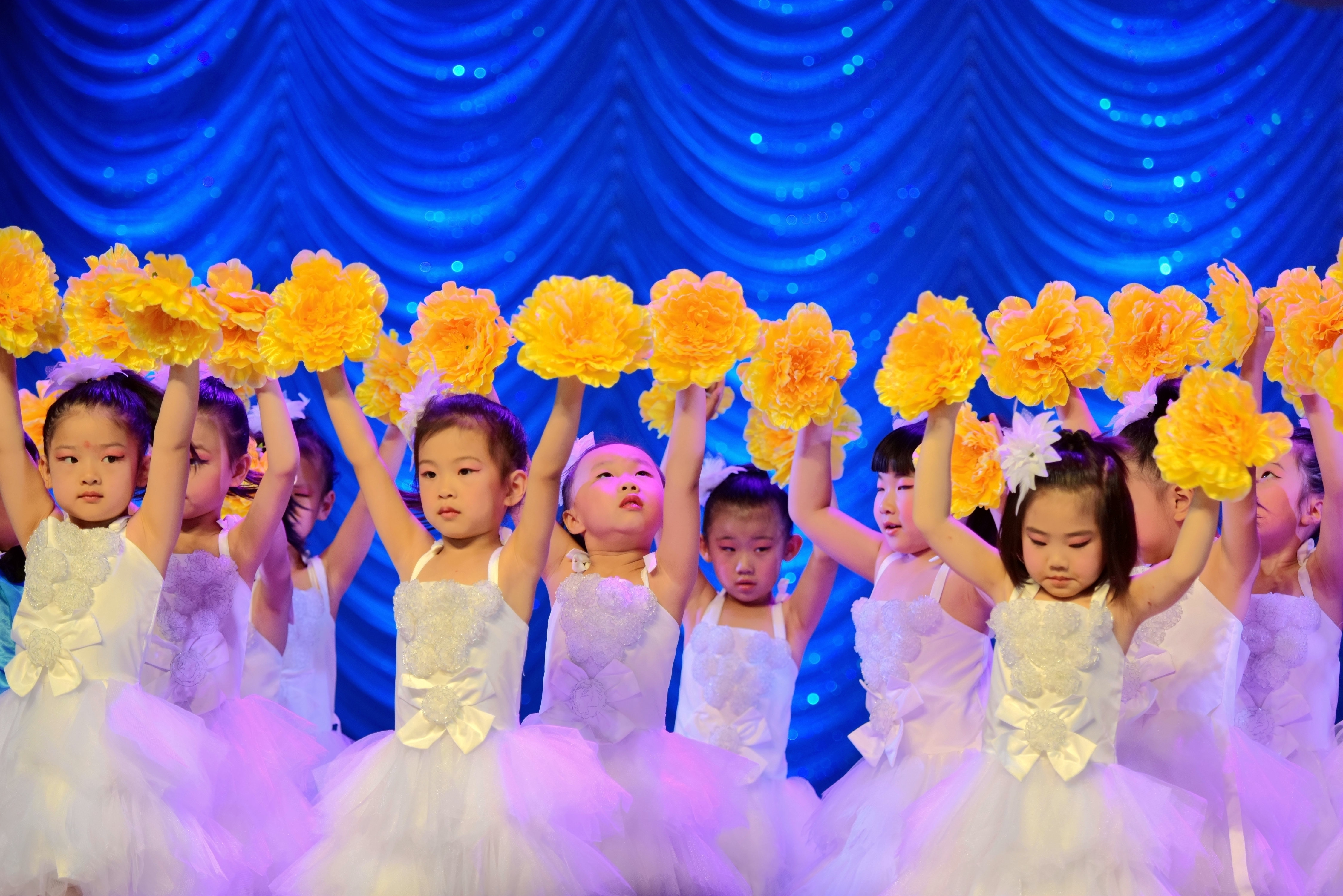 我是小小舞蹈家-精彩活动 - 常州市天宁区红梅幼儿园