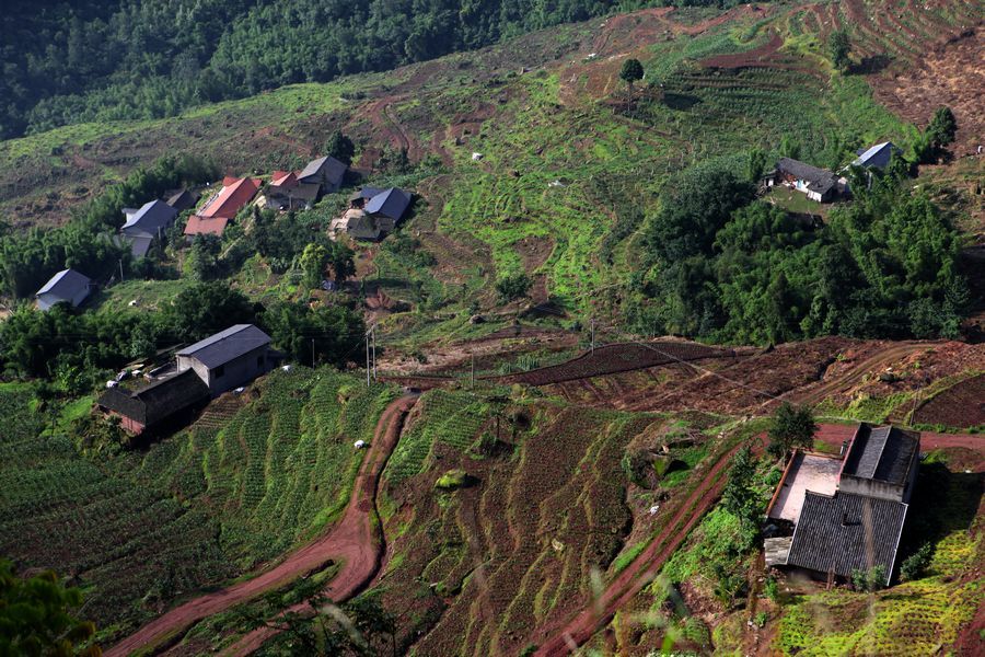 五马坪风光