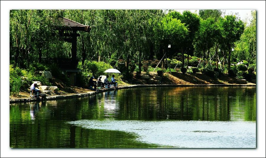 夏日的秦皇岛戴河生态园