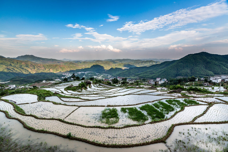 上饶灵山高山梯田