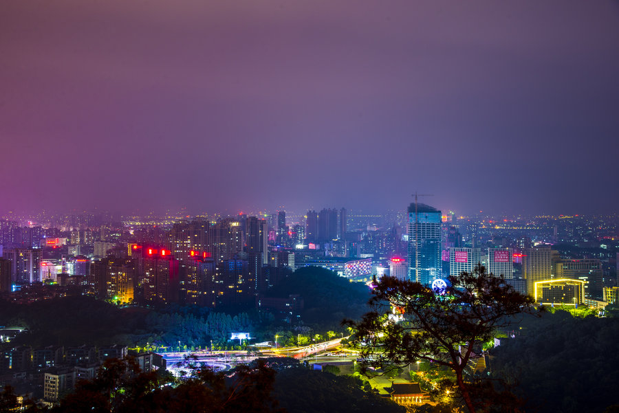 东莞旗峰夜色