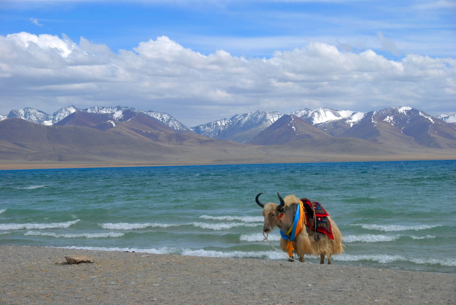 【天上西藏 大美于行摄影图片】风光旅游摄影