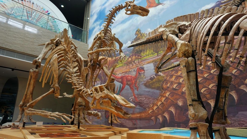 山东莱阳白垩纪国家地质公园(上)恐龙化石博物馆