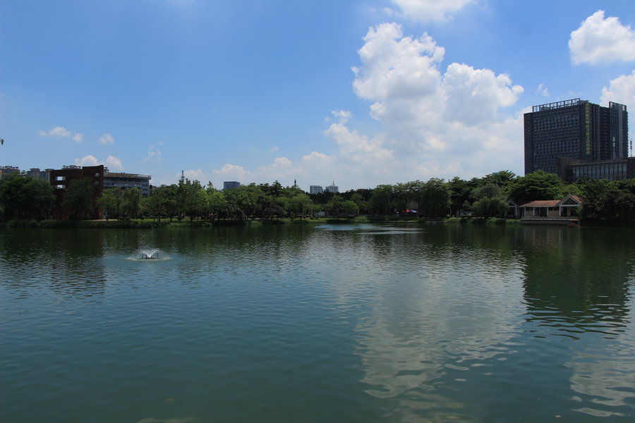 宁静的夏天